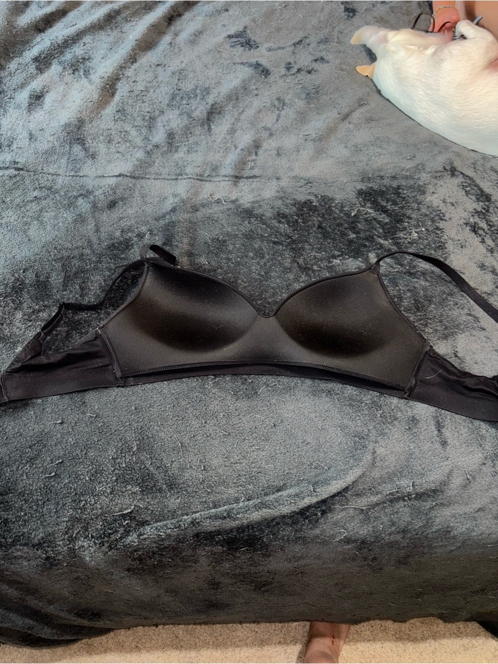 Black T-Shirt Bra